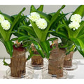 2513