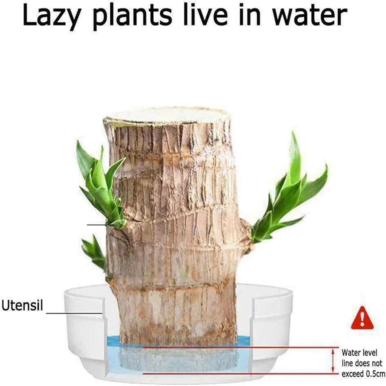 2538